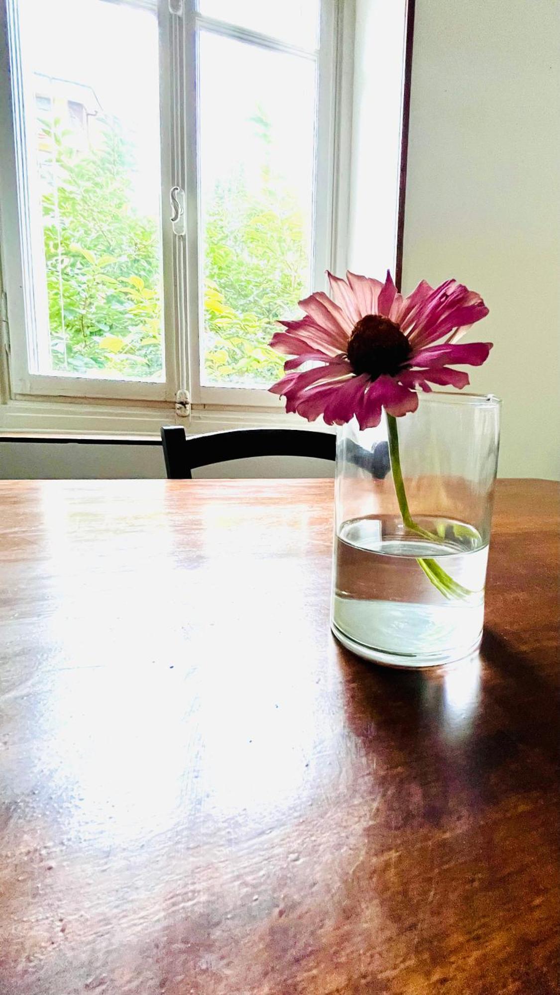 도모도솔라 Antica Casa Storica Con Giardino 아파트 외부 사진