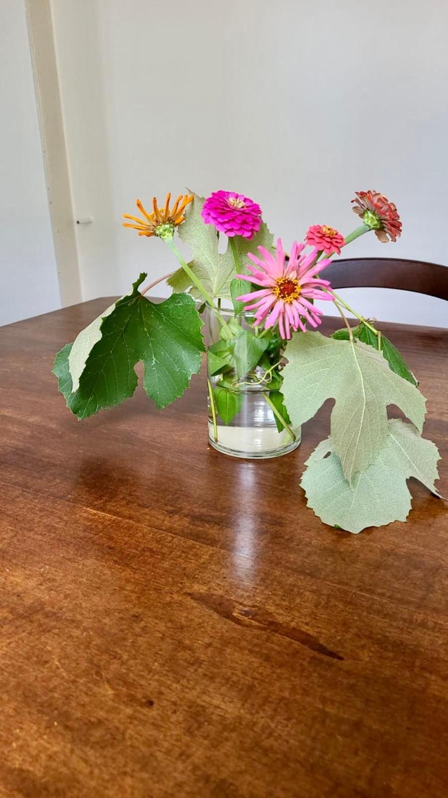 도모도솔라 Antica Casa Storica Con Giardino 아파트 외부 사진