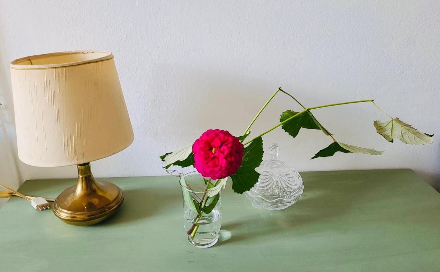 도모도솔라 Antica Casa Storica Con Giardino 아파트 외부 사진