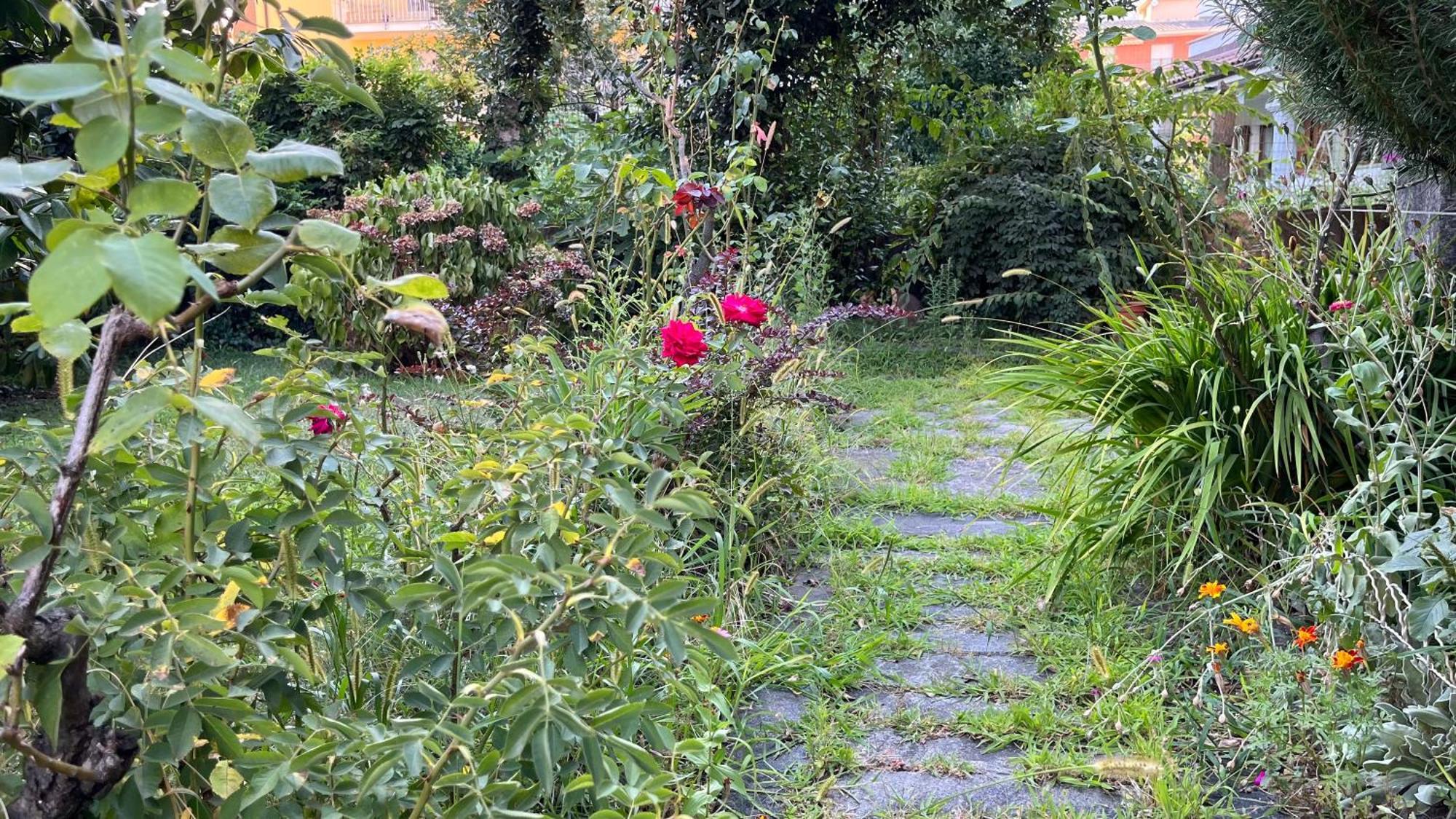 도모도솔라 Antica Casa Storica Con Giardino 아파트 외부 사진